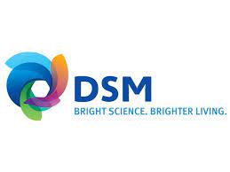 dsm